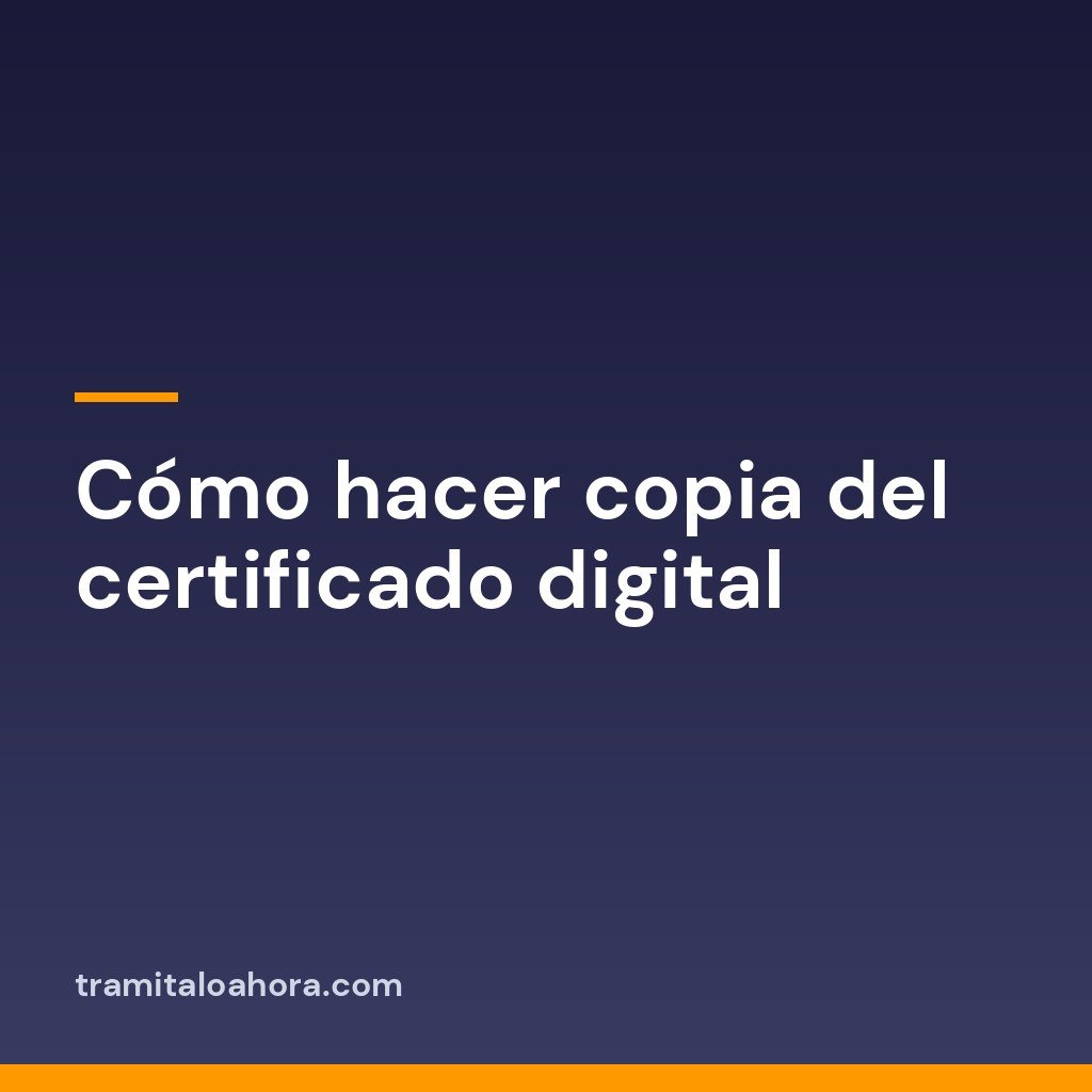 Cómo hacer copia del certificado digital